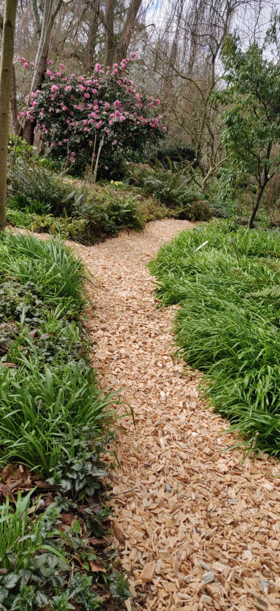 Image-3