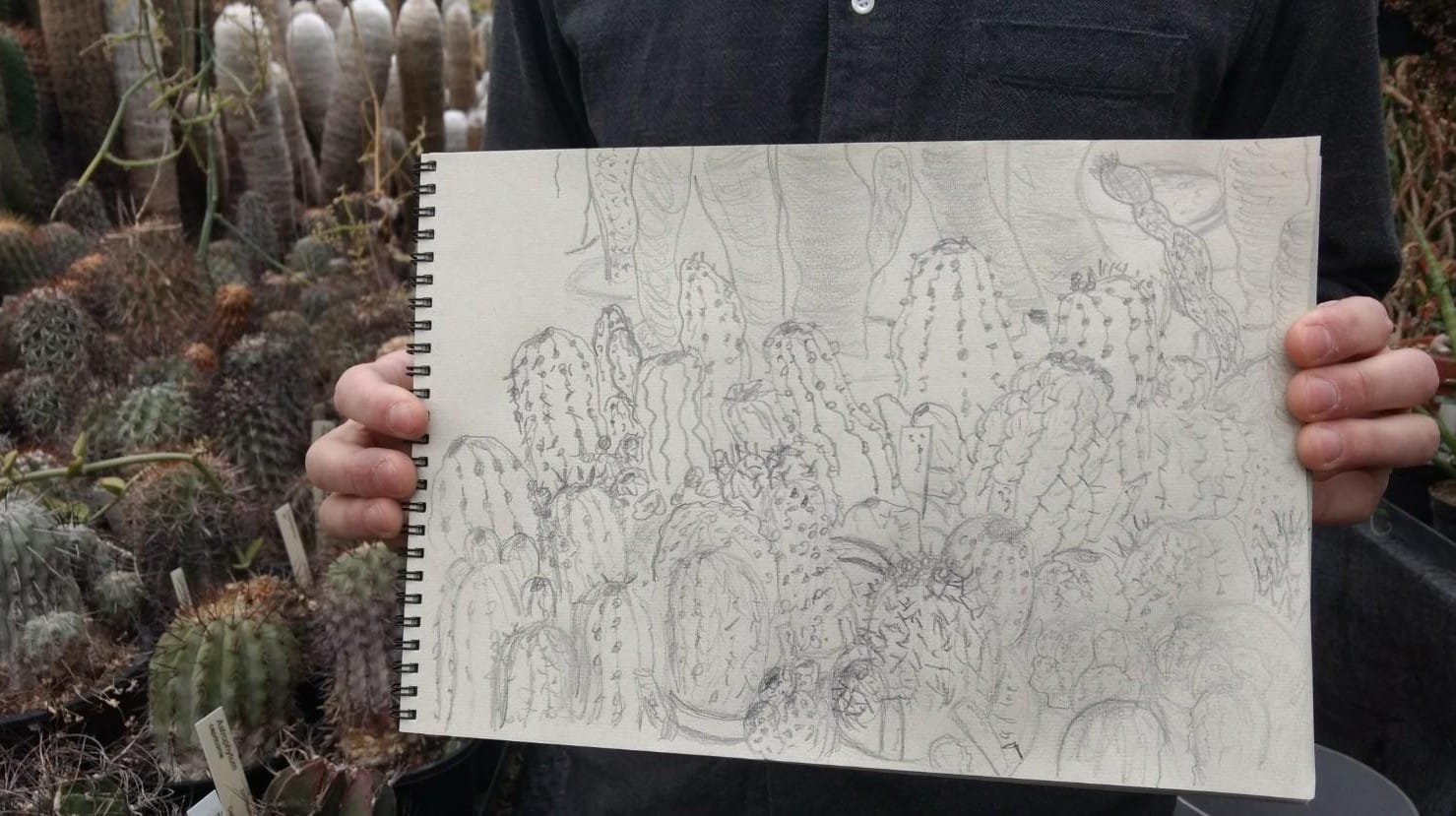 cactuskas1