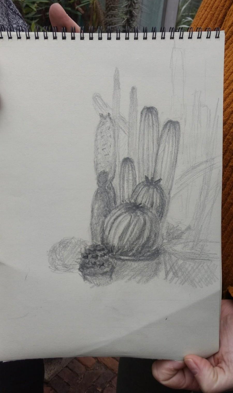 cactuskas2