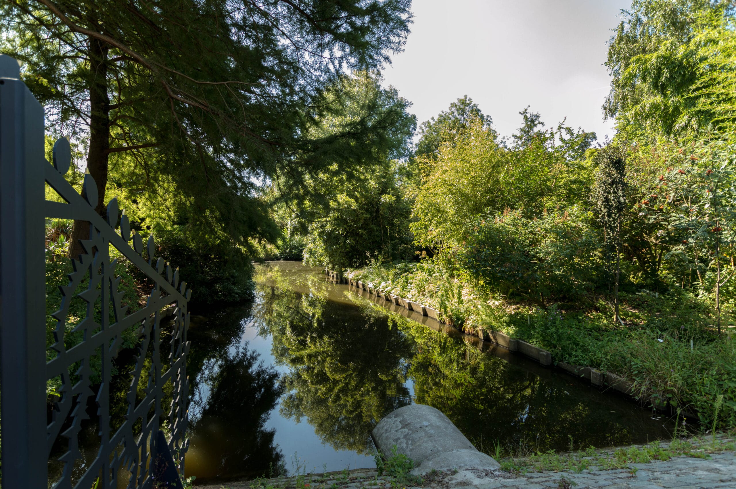 Botanische Tuin Zuidas-4019